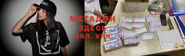 шишки Абаза