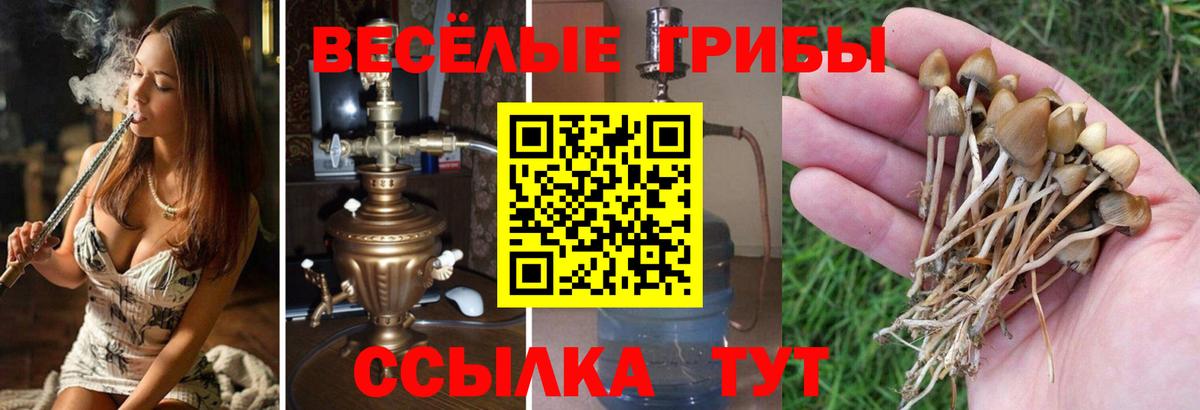Галлюциногенные грибы ЛСД Донской