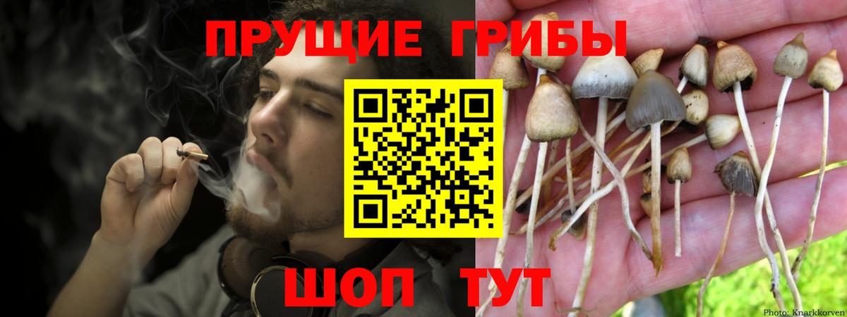 Донской  Галлюциногенные грибы мицелий  Вход с VPN 