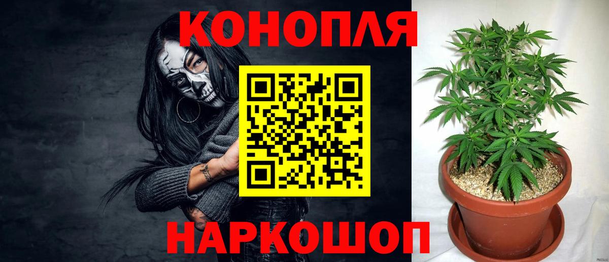 Канабис ГИДРОПОН Донской
